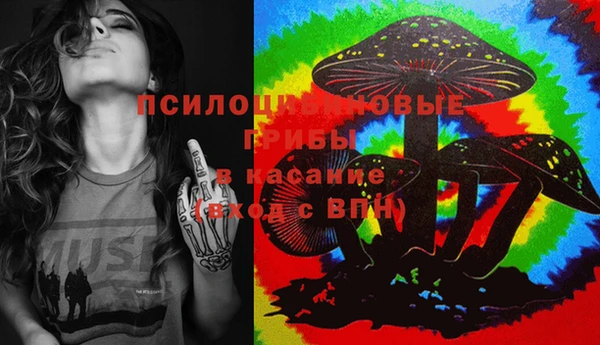 прущий лед Горняк