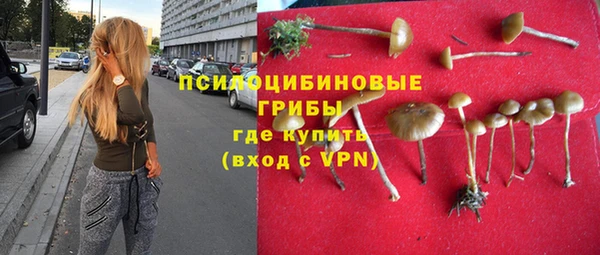 прущий лед Горняк