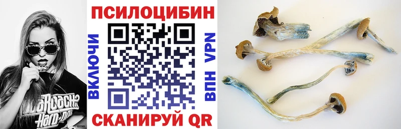 Псилоцибиновые грибы MAGIC MUSHROOMS  mega   Грайворон  где продают  