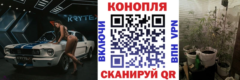 МАРИХУАНА Amnesia  Грайворон 